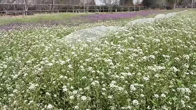 I Found A Hot Older Woman Who Works Hard To Maintain Her Fit Body -1