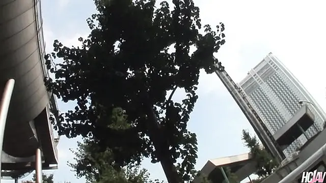 Japanese Babe Sarina Tsubaki Rides Dick in Fresh Air