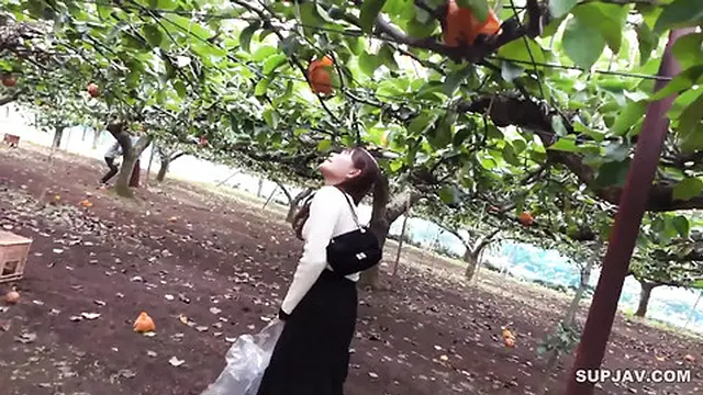 Hot Asian Babe 20430